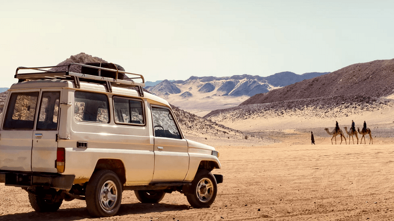 Mastering the Open Road: Your Essential Guide to Navigating Egypt by Car